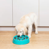 Happy Bowl - Donut - Gamelle pour chien