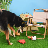 Jouet Puppy Camping - Camp Hound