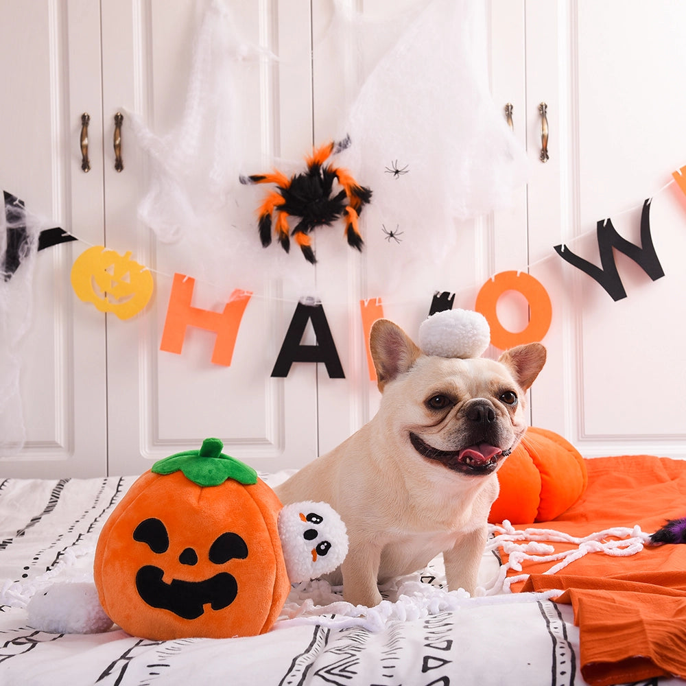 Ghost Pumpkin - Halloween