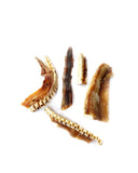 L'épine dorsale de requin - 75 gr