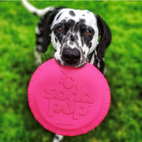 Frisbee en caoutchouc petit