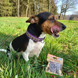 Snack training Kangourou - 60g