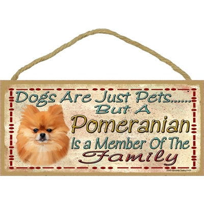 Pom is a MEMBER OF THE FAMILY