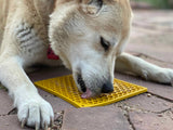 Tapis de léchage d'enrichissement - Honeycomb