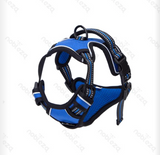 Harnais Sport L