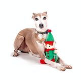 Elfe de Noël pour chien