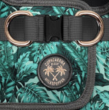 Harnais Amazonia