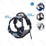 Harnais Sport L