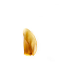 Oreille de veau
