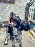 Meaty Bubbles