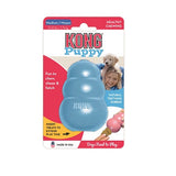 Kong Puppy